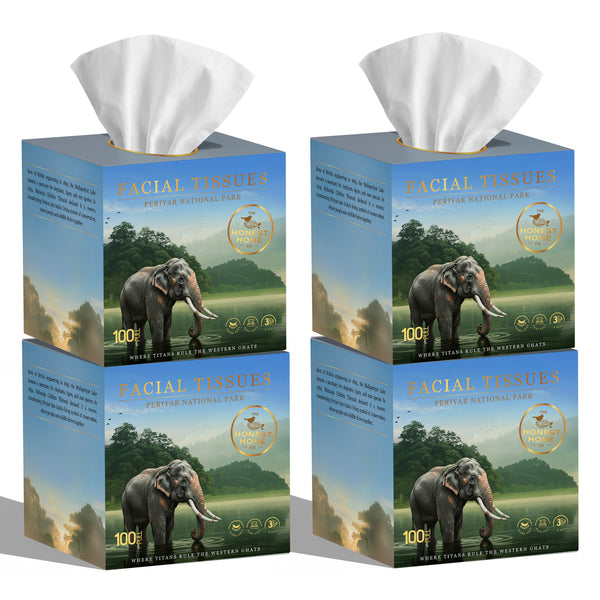 Honest Home 3 Ply Artisanal Facial Tissue Box (400 Pulls)- Periyar- Pack of 4 (100 Pulls X 4)