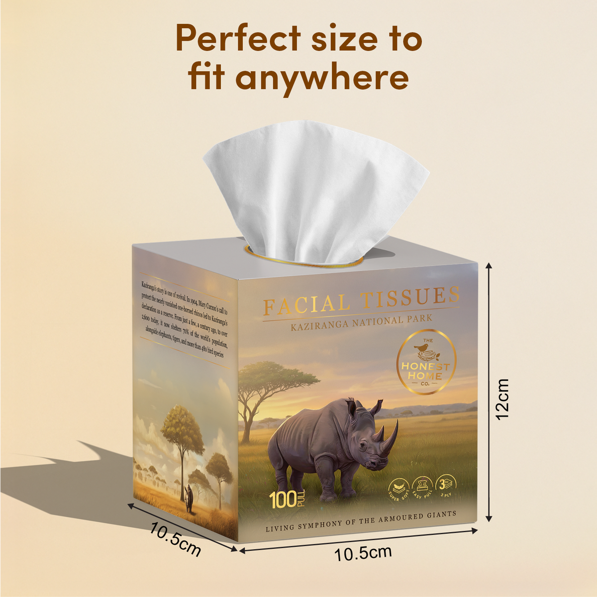 Kaziranga Art Edition Facial Tissue Boxes 3-Ply | 100 Pulls