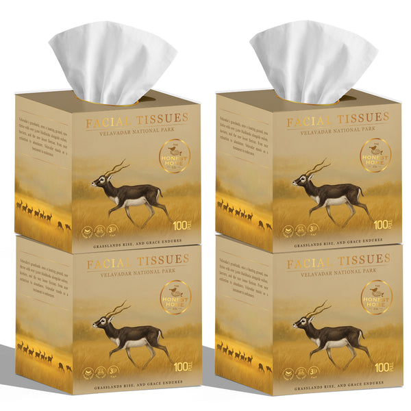 Honest Home 3 Ply Artisanal Facial Tissue Box (400 Pulls)- Velavadar- Pack of 4 (100 Pulls X 4)