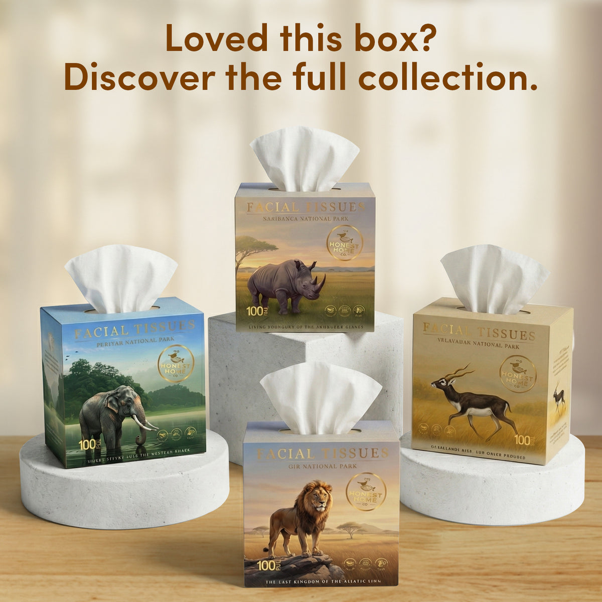 Kaziranga Art Edition Facial Tissue Boxes 3-Ply | 100 Pulls