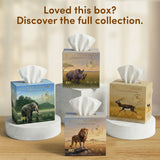 Periyar Art Edition Facial Tissue Boxes 3-Ply | 100 Pulls