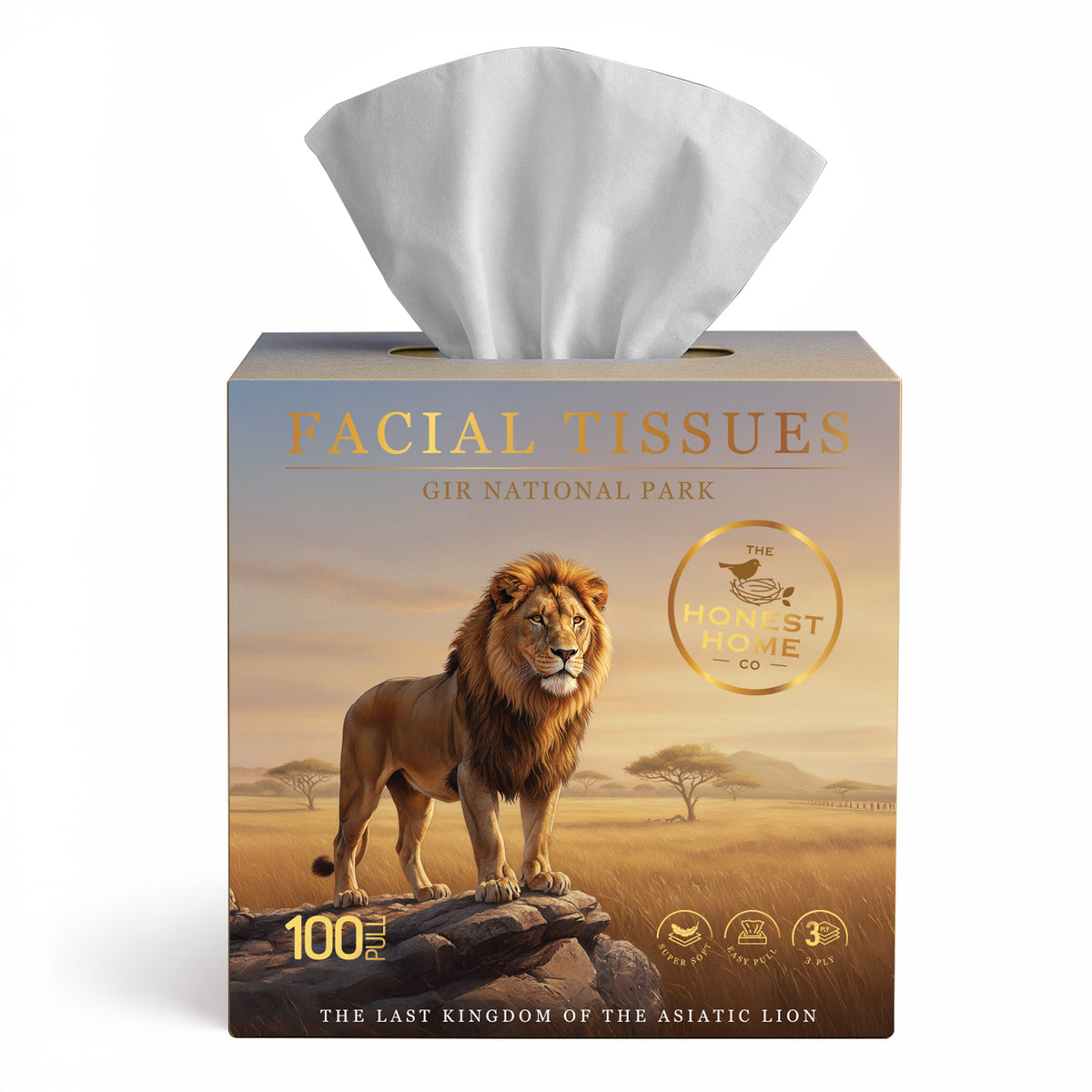 Gir Art Edition Facial Tissue Boxes 3-Ply | 100 Pulls