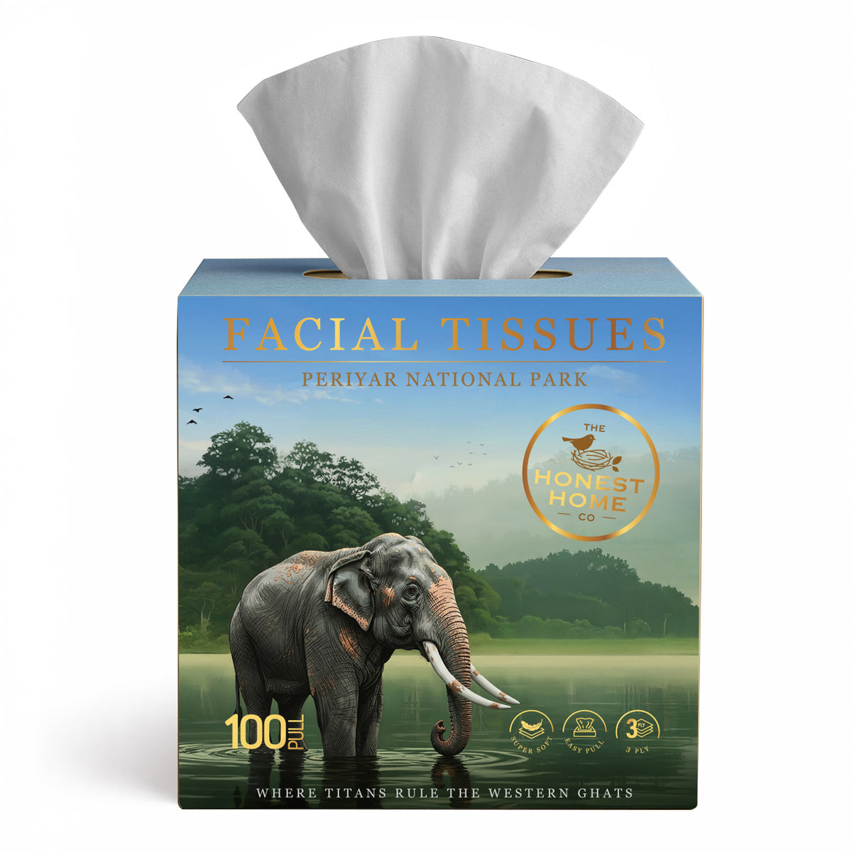 Periyar Art Edition Facial Tissue Boxes 3-Ply | 100 Pulls