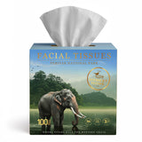 Periyar Art Edition Facial Tissue Boxes 3-Ply | 100 Pulls