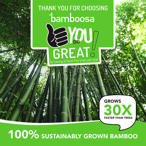 Bamboo Toilet Tissue Paper Rolls 3 Ply | 2400 Pulls | 300 Pulls x 8 Rolls