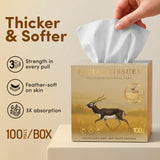 Honest Home 3 Ply Artisanal Facial Tissue Box (400 Pulls)- Velavadar- Pack of 4 (100 Pulls X 4)