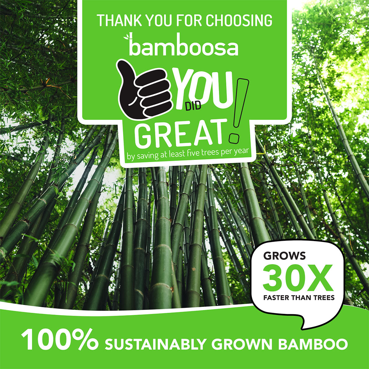 Bamboo Toilet Tissue Paper Rolls 3 Ply | 1200 Pulls | 300 Pulls x 4 Rolls