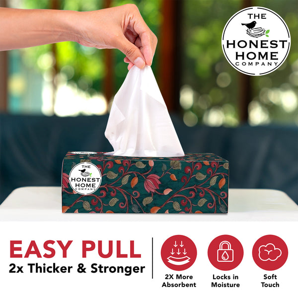 2 Ply Soft Facial Tissue Box | 100 Pulls | Pack of 3 | (Festive Green)