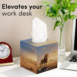 Gir Art Edition Facial Tissue Boxes 3-Ply | 100 Pulls