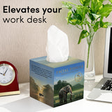 Periyar Art Edition Facial Tissue Boxes 3-Ply | 100 Pulls