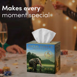 Honest Home 3 Ply Artisanal Facial Tissue Box (400 Pulls)- Periyar- Pack of 4 (100 Pulls X 4)
