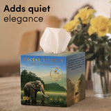 Honest Home 3 Ply Artisanal Facial Tissue Box (400 Pulls)- Periyar- Pack of 4 (100 Pulls X 4)