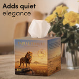 Gir Art Edition Facial Tissue Boxes 3-Ply | 100 Pulls