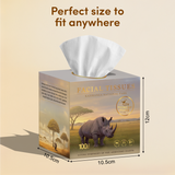 Kaziranga Art Edition Facial Tissue Boxes 3-Ply | 100 Pulls