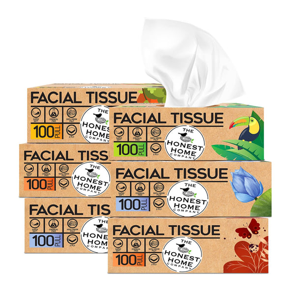 Honest Home 2 Ply Facial Tissue Paper Box | 600 Pulls | 100 Pulls x 6 boxes | Soft And Highly Absorbent | 100% Natural Virgin Fibre