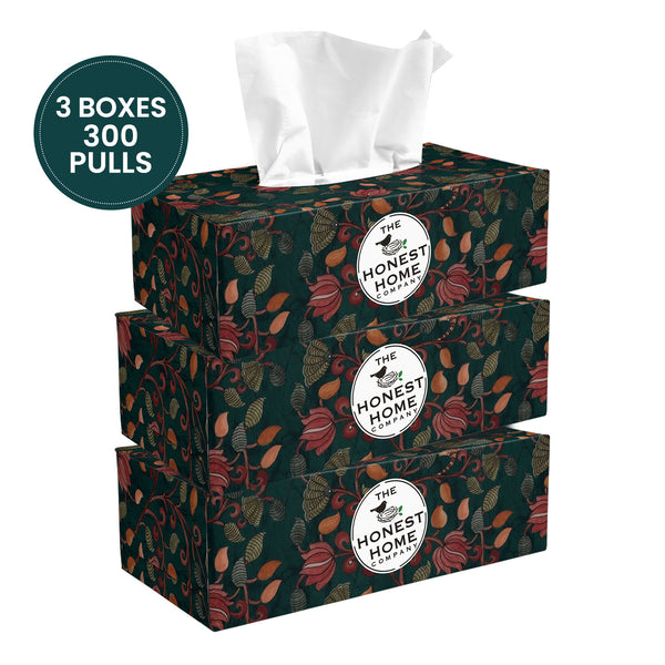 2 Ply Soft Facial Tissue Box | 100 Pulls | Pack of 3 | (Festive Green)